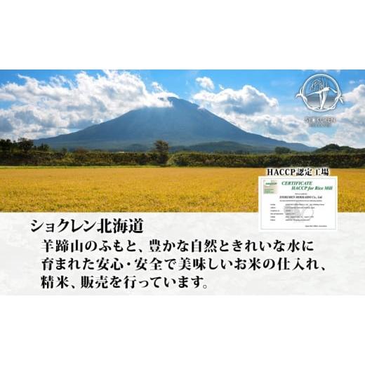 ふるさと納税 北海道 倶知安町 北海道 定期便 4ヵ月連続4回 令和5年産 倶知安町産 ななつぼし 精米 5kg 米 特A 白米 お米 道産米 ブランド米 契約農家 ごはん …