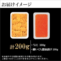 1958. うに チリ産 冷凍 100g 鱒いくら醤油漬け 100g セット ウニ 雲丹 ますいくら 鱒 マス イクラ いくら いくら醤油漬け 海鮮 海鮮丼 北海道 弟子屈町