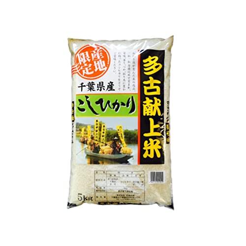 千葉県 多古産 無洗米 こしひかり 10kg [5kg×2] 令和4年産