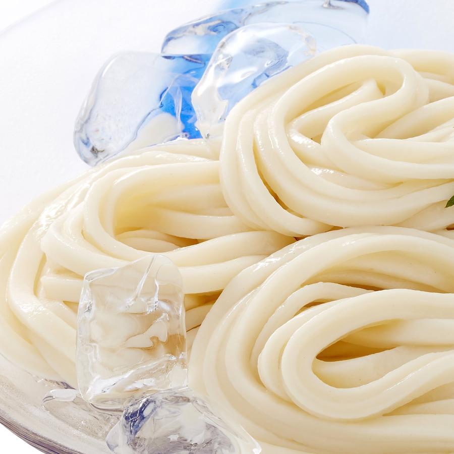 中里商店 桐生うどんの里 桐生うどん 麺のみ10袋入り(270g×10)