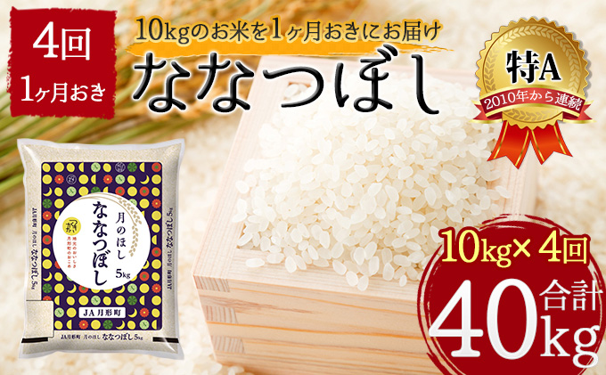 北海道 定期便 隔月4回 令和5年産 ななつぼし 5kg×2袋 特A 精米 米 白米 ご飯 お米 ごはん 国産 北海道産 ブランド米 おにぎり ふっくら 常温 お取り寄せ 産地直送 R5年産 送料無料