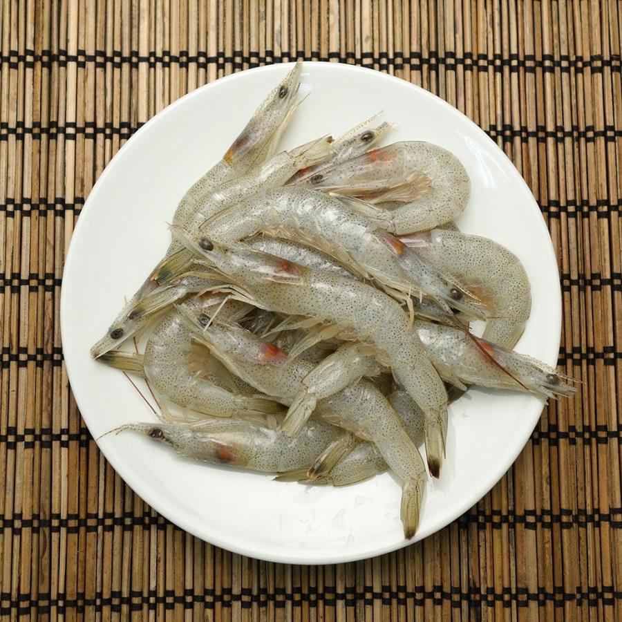 芝海老 １Ｋｇ １４０尾程