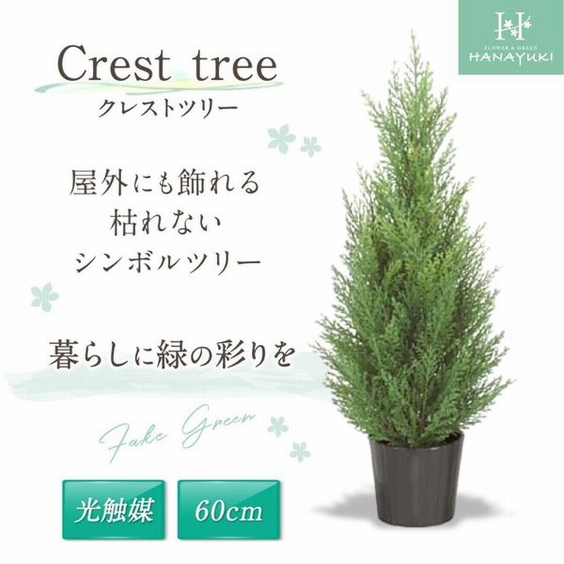 人工観葉植物 光触媒加工 クレストツリー 60cm フェイクグリーン 光触媒 ツリー インテリア 人工樹木 植物 おしゃれ クリスマスツリー Hanayuki 通販 Lineポイント最大0 5 Get Lineショッピング