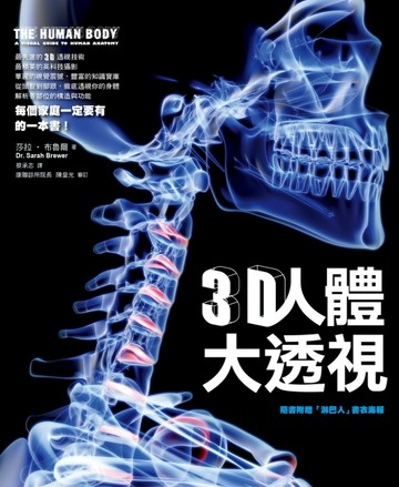 3D人體大透視