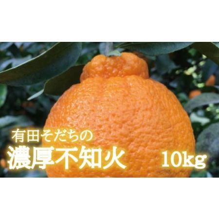 ふるさと納税 有田育ちの濃厚不知火(ご家庭用)(通称デコポン)　約10kg  和歌山県新宮市