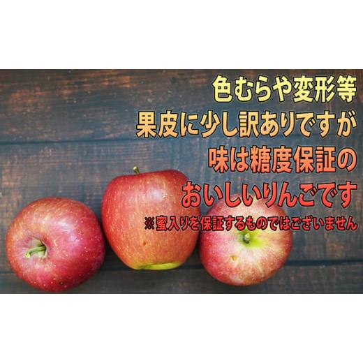 ふるさと納税 青森県 弘前市 2月発送 訳あり EM葉取らずサンふじ約10kg 糖度13度以上　