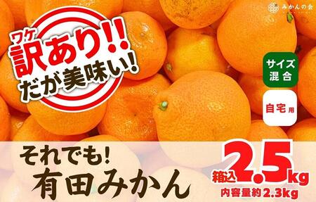 訳あり それでも 有田みかん 箱込 2.5kg (内容量約 2.3kg) B品 サイズミックス 和歌山県産 