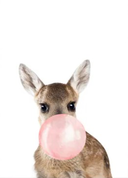 嚼泡泡動物無框掛畫 (福利品)