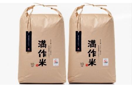 元祖魚沼産従来コシヒカリ 20kg 産地限定！農家直送