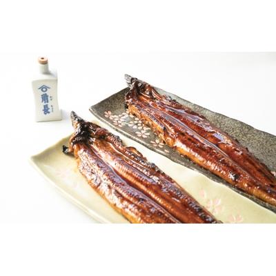 ふるさと納税 湯浅町 うなぎ蒲焼4本角長特製蒲焼タレ2本セット