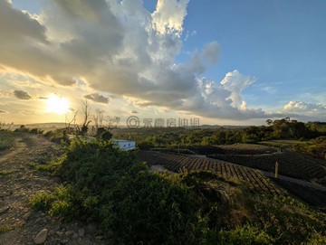 埔嶺坔埔1甲4分￥鳳梨園×配市區景觀＝梨長伯農地｜高雄市鳥松區埔嶺段