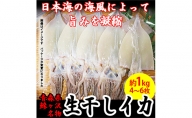 イカ 青森県産 一本釣りいか 使用 鰺ヶ沢 名物 天日生干しイカ セット （1Kg以上3枚～5枚入り） いか 干物 干物セット 国産 するめ スルメ スルメイカ 海鮮 魚介類 魚介 海産物 ※ ご入金確認後 3ヶ月以内の発送になります。