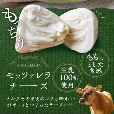 ふるさと納税 飛騨市 飛騨の牛乳屋・牧成舎の飛騨のフレッシュモッツァレラチーズ3個セット