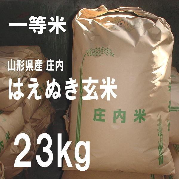 お米 23kg はえぬき 玄米 山形県 庄内 23kg×1袋 5年度産 新米 二等米