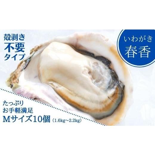 ふるさと納税 島根県 海士町 ブランド岩牡蠣「春香」殻なしタイプ Mサイズ×10個（1.6kg〜2.2kg）