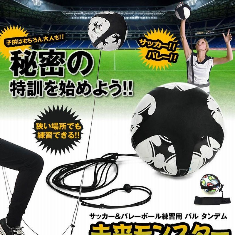 練習 ロープ バレーボール サッカー リフティング レシーブ パル タンデム 一人 サーブ 運動 Miraimonster 通販 Lineポイント最大0 5 Get Lineショッピング