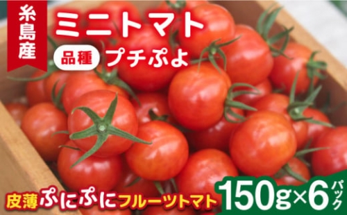 ミニトマト （ プチぷよ ）1kg×1箱 糸島市   かわぞえ農園 ぷちぷよ トマト [AAM001]