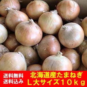 北海道 玉ねぎ 10kg 送料無料 北海道産 たまねぎ 10kg L大サイズ 共撰 北海道 富良野産 もしくは 北見F1 野菜 玉ねぎ   タマネギ   玉葱