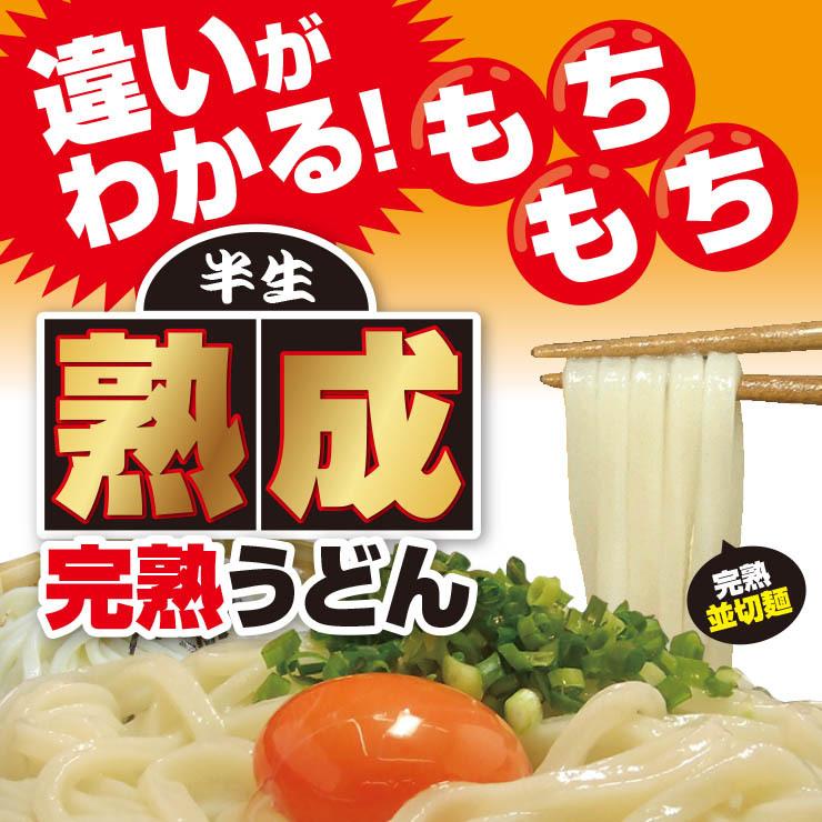 熟成 半生 並切麺 讃岐うどん 激ウマ 6〜8食 便利な個包装 250g×3袋 750g 送料無料 最安値挑戦 お試し