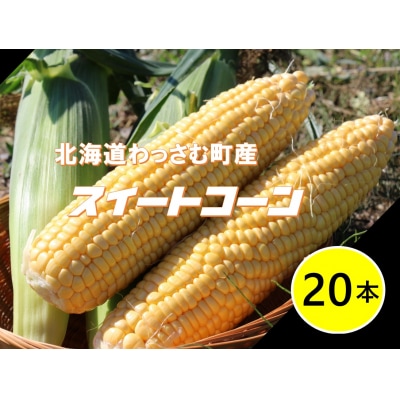 ≪令和6年産≫和寒産スイートコーン(20本セット)