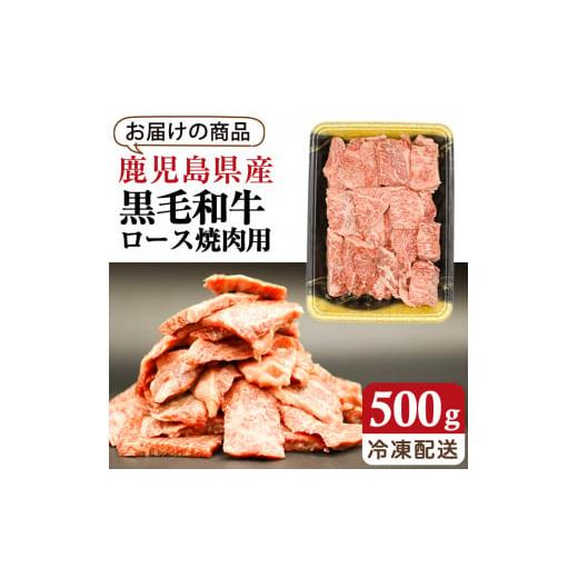 ふるさと納税 鹿児島県 曽於市 鹿児島県産黒毛和牛ロース500g(焼肉用カット) 国産 鹿児島県産 黒毛和牛A-288