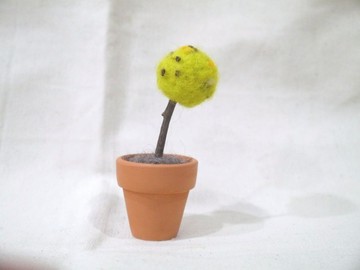 |哈哈羊毛氈| 小樹盆栽 / 002