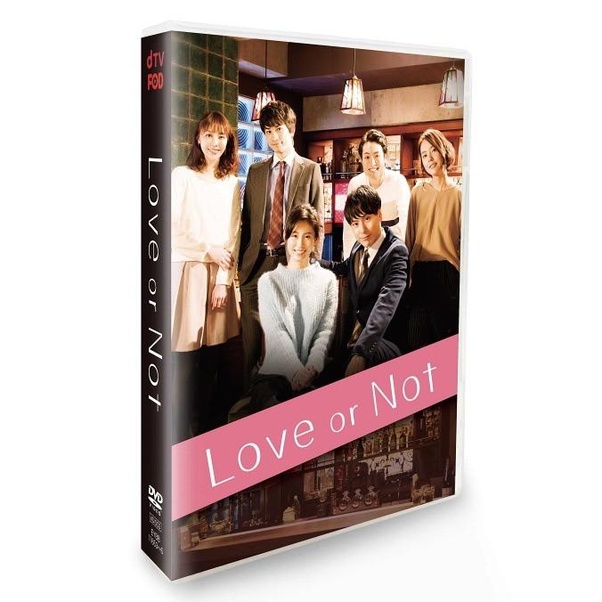 エイベックス Love or Not DVD-BOX