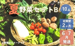 夏野菜セットB (10品) 6・7月発送