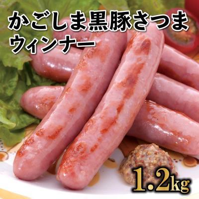 ふるさと納税 南九州市 「かごしま黒豚さつま」ウィンナー1.2kg