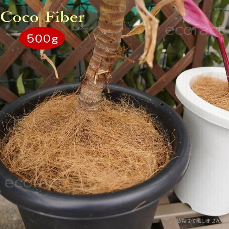 Sale 57 Off 鉢カバー 観葉植物 ヤシの繊維から作られたマルチング 鉢土隠し 材ココファイバー Shipsctc Org