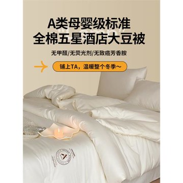 五星級酒店款100支大豆纖維被子 棉被芯冬被春秋被加厚保暖空調被