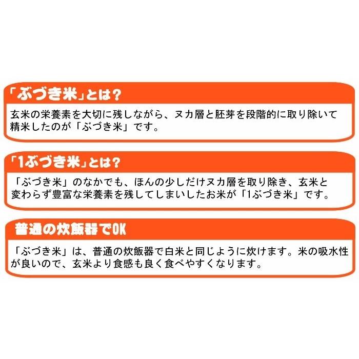 新米 ポイント消化 お米 送料無料 お試しあきたこまち 750g (5合) 令和5年産 山形県産 白米 無洗米 分づき 玄米 当日精米 真空パック メール便 700円 ゆうパケ