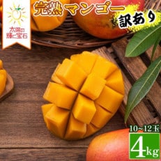 生産者直送の完熟濃厚アップルマンゴー4kg(10～12玉)