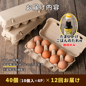 isa529 いちき農園のこだわり卵(計480個・40個×12カ月) 平飼い 鶏 たまご 卵 タマゴ 低コレステロール 無添加 抗生物質不使用 卵かけご飯 TKG 定期便