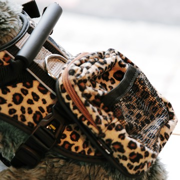 CrazyPAWS 瘋狂爪子 時尚豹紋護胸 寵物外出兩件式胸背帶  S號  咖色  1個