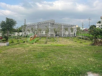 124坪合法鋼構網室及資材室休閒農地3分鐘上國道6｜南投縣草屯鎮頂崁段