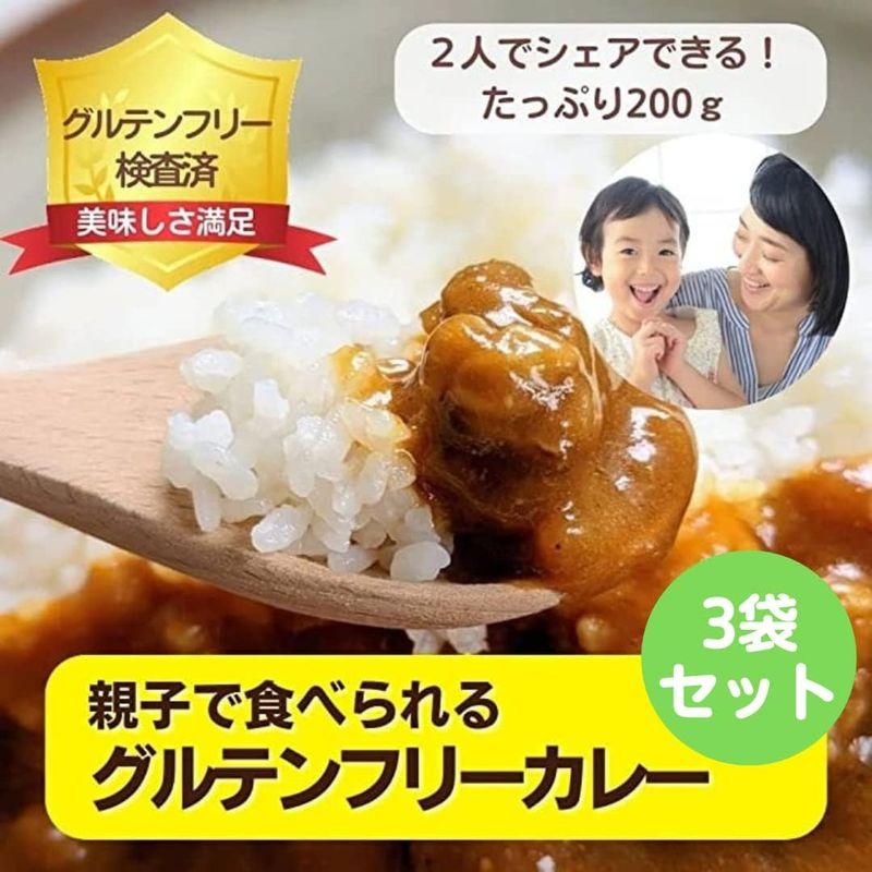 グルテンフリー検査済3袋セットレトルトグルテンフリーカレー たっぷり200g グルテンフリー 小麦不使用 カレー カレーライス レトルト レ