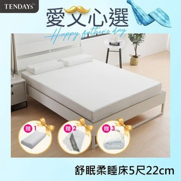 【TENDAYS】舒眠柔睡紓壓床墊5尺標準雙人(22cm厚記憶床)-買床送枕