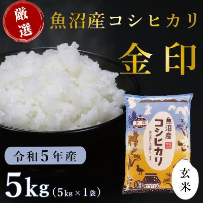 ふるさと納税 津南町 魚沼産コシヒカリ「金印」高食味米 5kg(令和5年産)