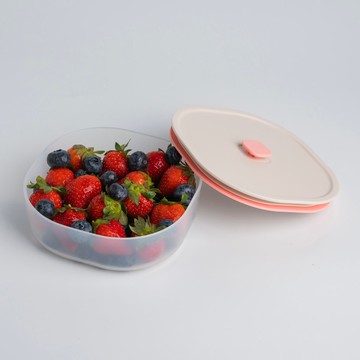 【ZING心穎良品】Color日日保鮮盒 500ml 三色可選 便當盒