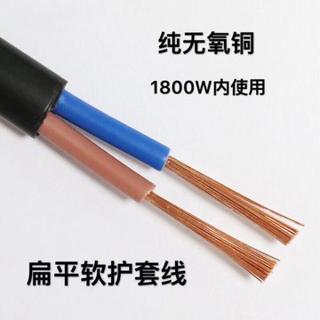 、黑皮電源線電線護套2電源電纜1芯扁平純銅軟線平方rvv線新欣