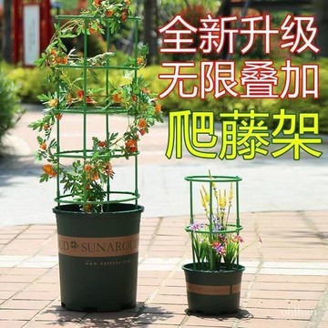 🔥特殺優品🔥🌟可開發票🌟花架子室內傢用支架通用型蟹爪蘭花架蓮花護葉架園藝盆栽支撐桿AS 5RPS