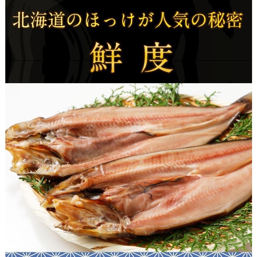 ほっけ一夜干し 北海道産 真ほっけ 10枚 送料無料 産地直送 ギフト ご贈答 Y凍