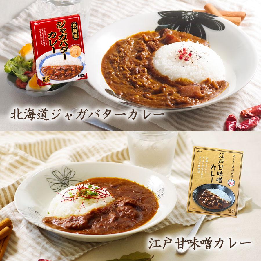 ご当地カレーとラーメン10種セット東日本選抜　レトルトカレー 名店ラーメン ギフト 2023