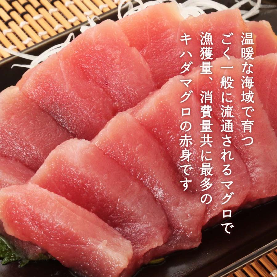 まぐろ 新洋水産 キハダマグロ赤身（生食用） 200g  まぐろ マグロ 鮪 きはだまぐろ 冷凍 天然まぐろ