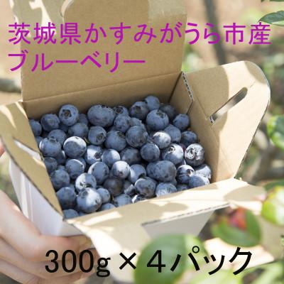 ふるさと納税 かすみがうら市 かすみがうら市特産フレッシュブルーベリー　300g×4パック