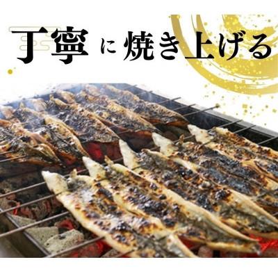 ふるさと納税 蟹江町 国産うなぎ白焼き2尾セット