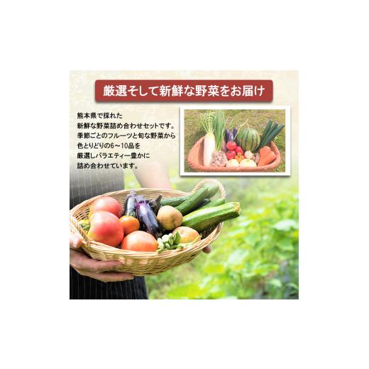 ふるさと納税 熊本県 和水町 旬の味覚セット 季節のフルーツ・熊本の新鮮お野菜(6〜10品目) (詰め合わせ)