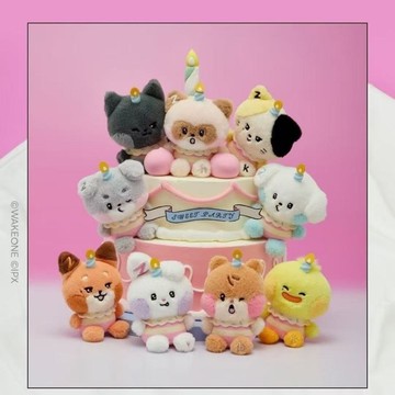 ⭐韓國正版代購預售⭐zb1新品蝴蝶結娃娃中型毛絨娃娃沈泉銳章昊韓維辰zeroni