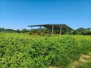 麗寶景觀包裝場農地A【埔里酒廠店】｜南投縣埔里鎮福興段